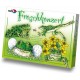 Concert de Grenouille - FroschKonzert