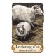 Timeline II - Découvertes