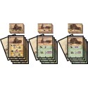 Western Town - Kit Télégraphe