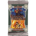 Shadow Hunter - Personnages