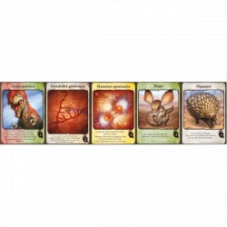 Evolution VF - Cartes Promo