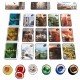 Splendor - Les Cités de Splendor - Extension